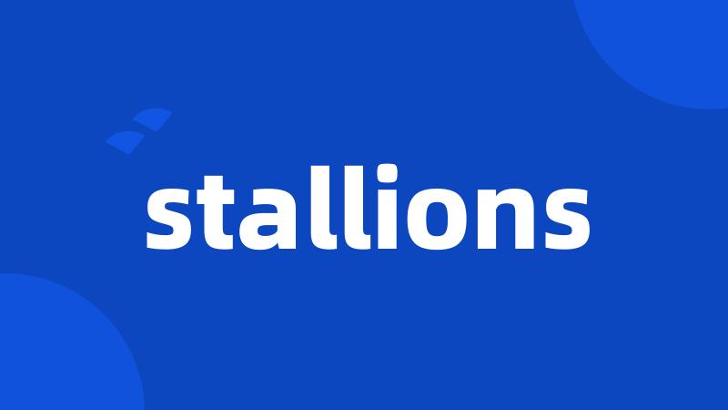 stallions