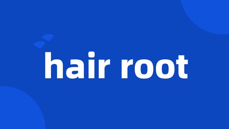 hair root