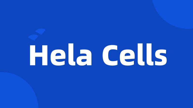 Hela Cells