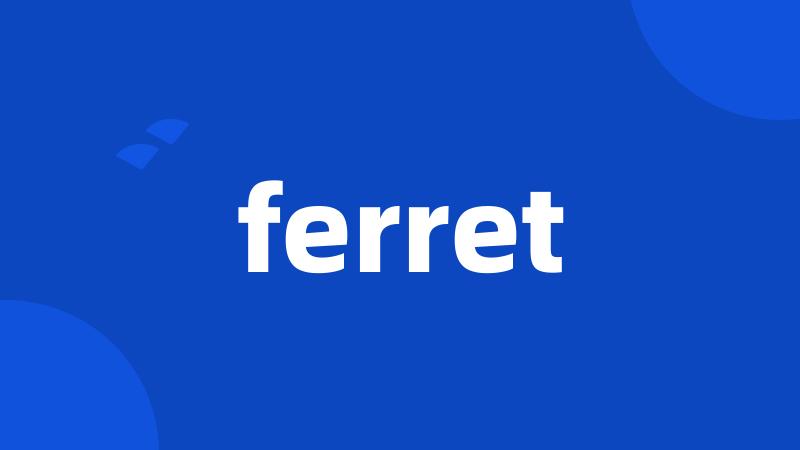 ferret