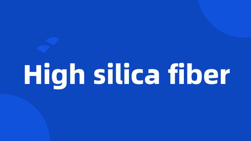 High silica fiber