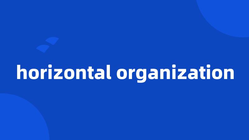 horizontal organization