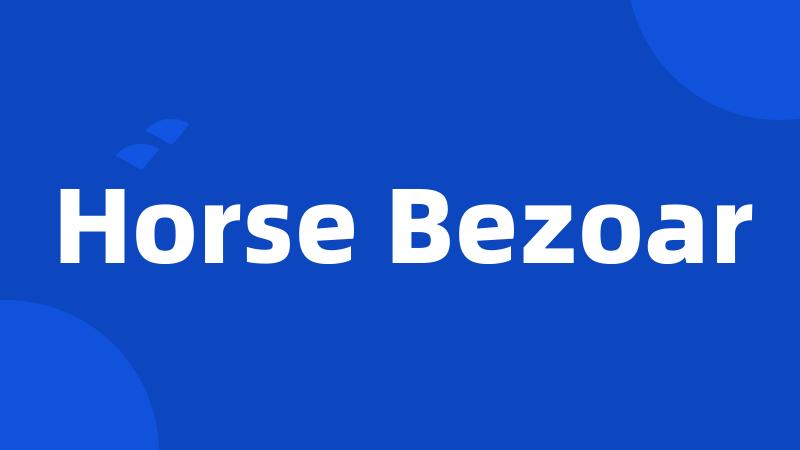 Horse Bezoar