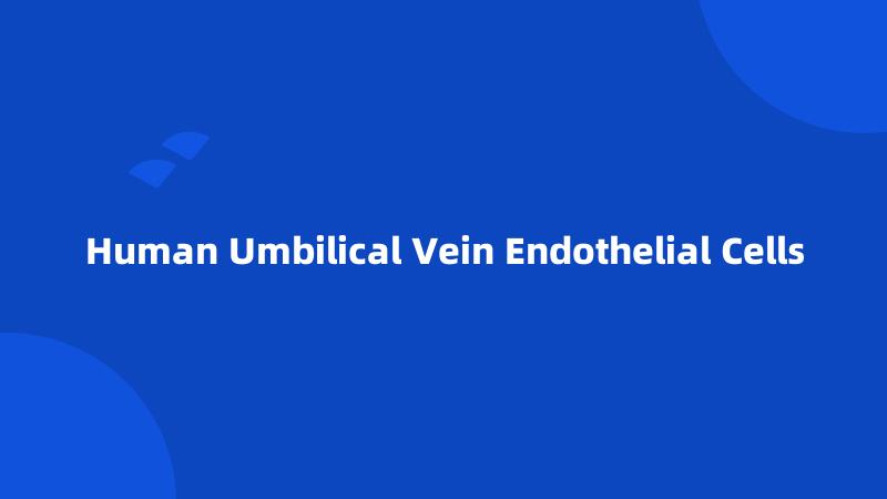 Human Umbilical Vein Endothelial Cells