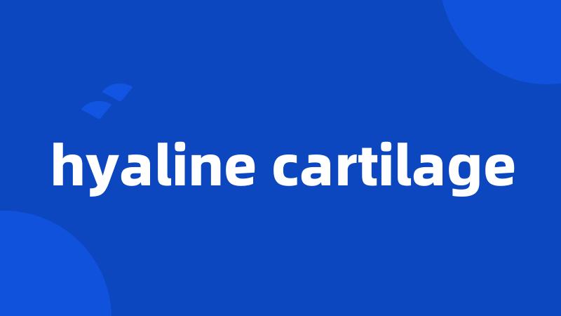 hyaline cartilage