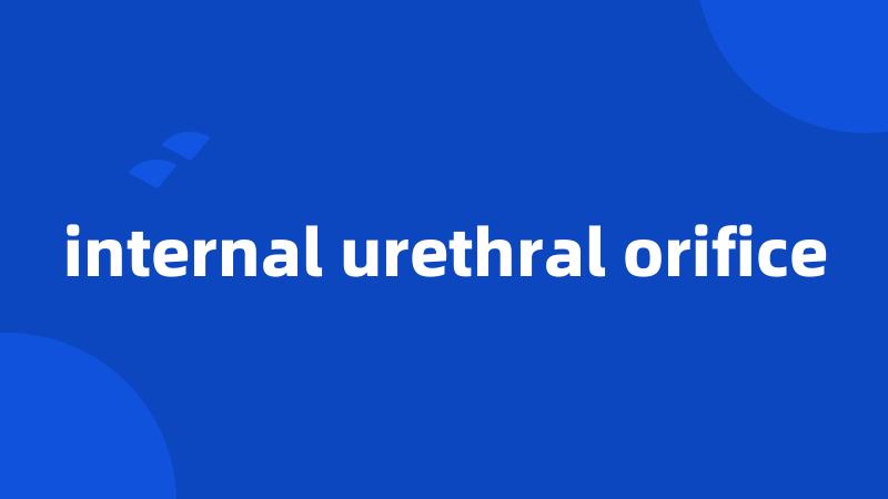 internal urethral orifice