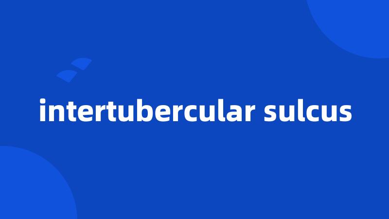 intertubercular sulcus