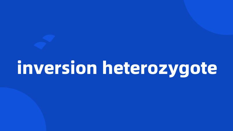 inversion heterozygote