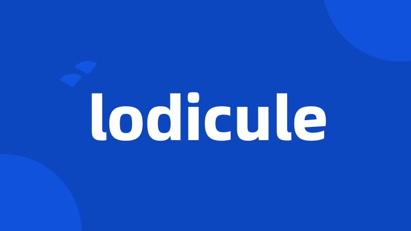 lodicule