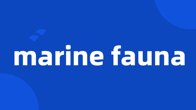 marine fauna