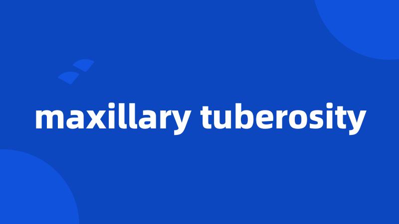 maxillary tuberosity