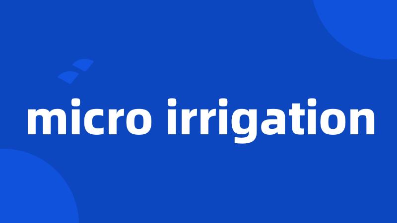 micro irrigation