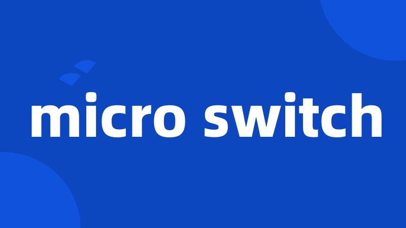 micro switch