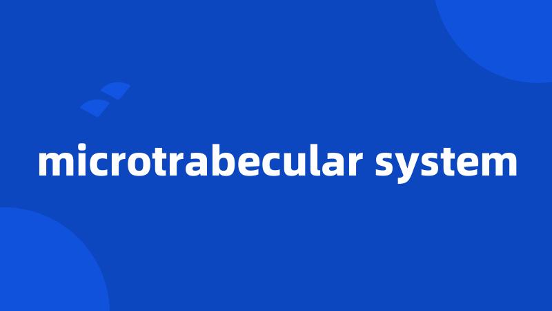 microtrabecular system