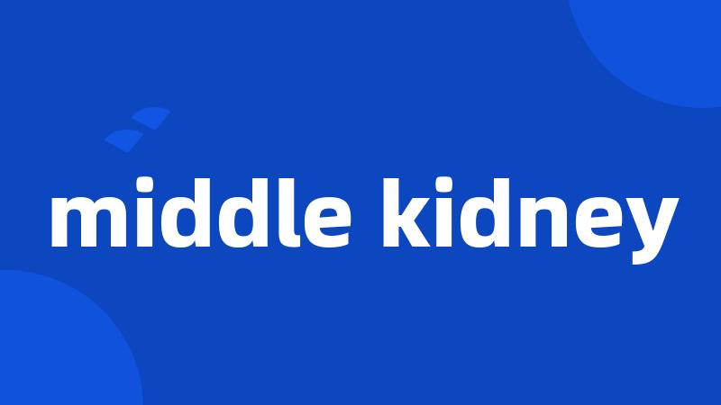 middle kidney