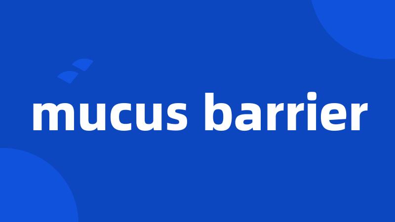 mucus barrier