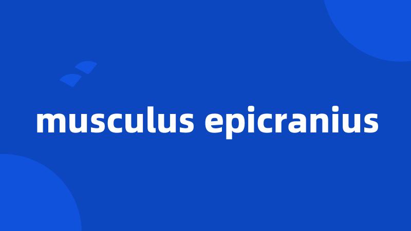 musculus epicranius