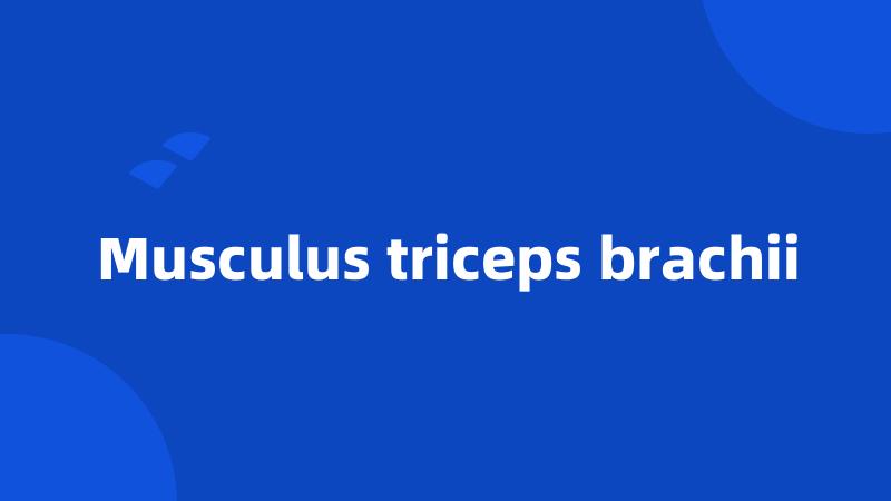 Musculus triceps brachii