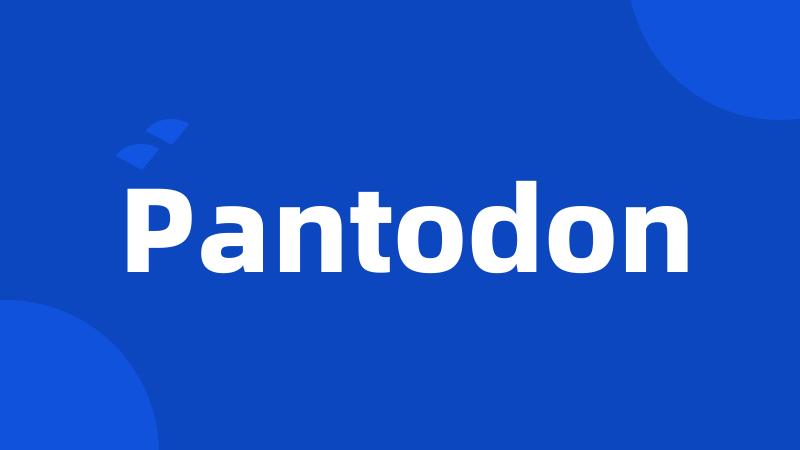 Pantodon