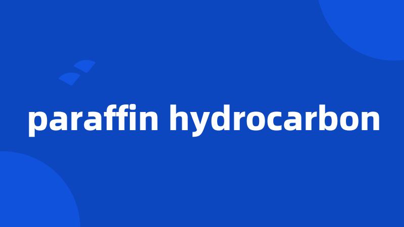 paraffin hydrocarbon