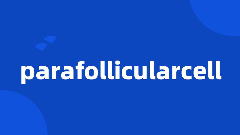 parafollicularcell