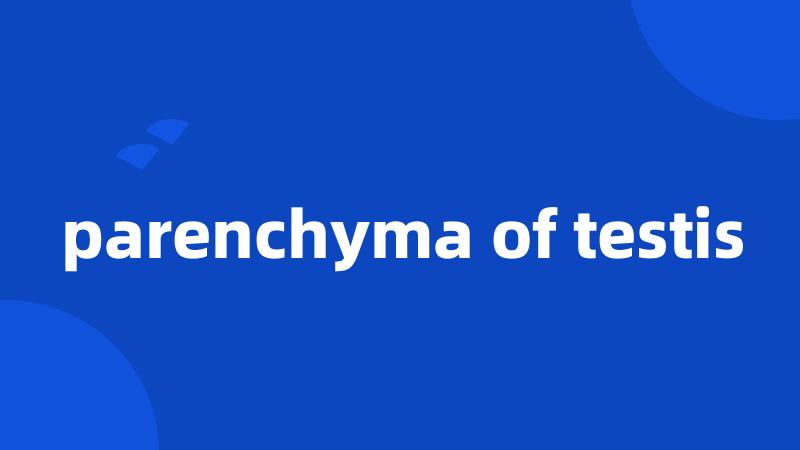 parenchyma of testis