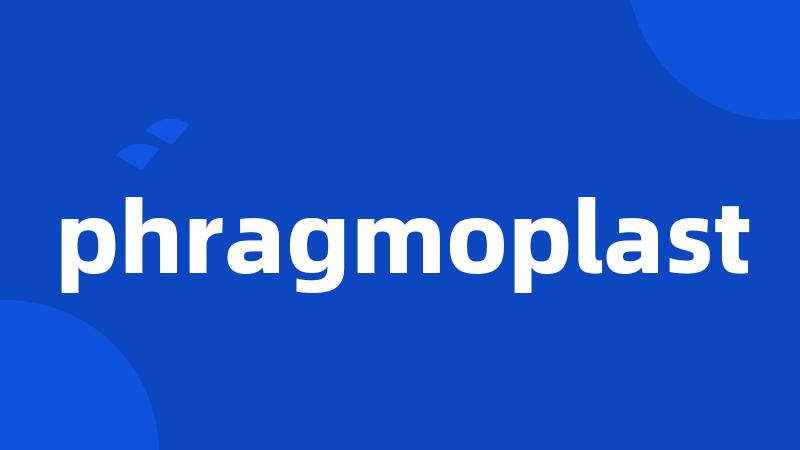 phragmoplast