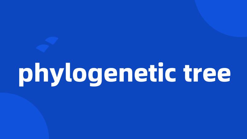 phylogenetic tree