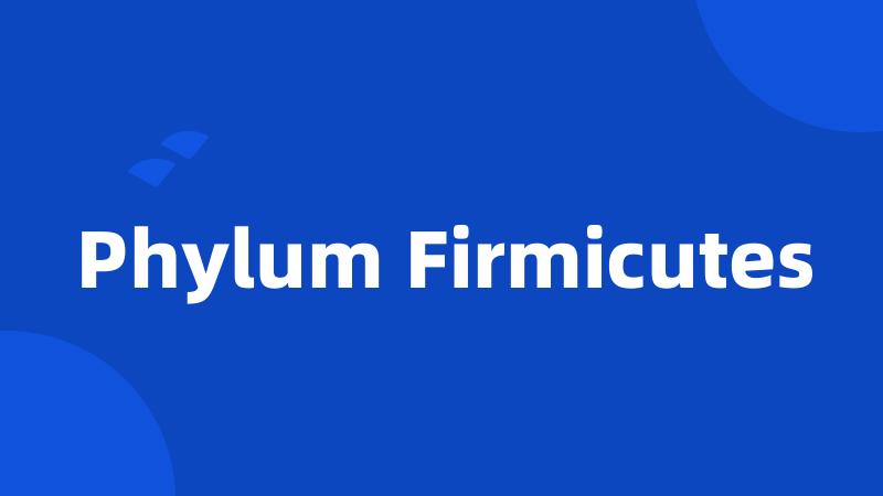 Phylum Firmicutes