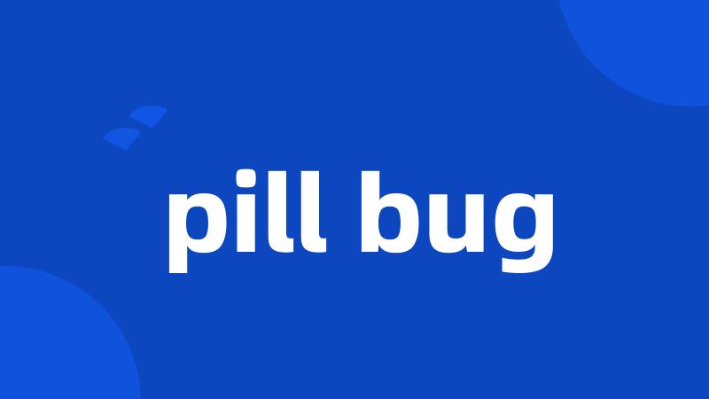 pill bug