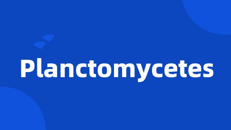 Planctomycetes