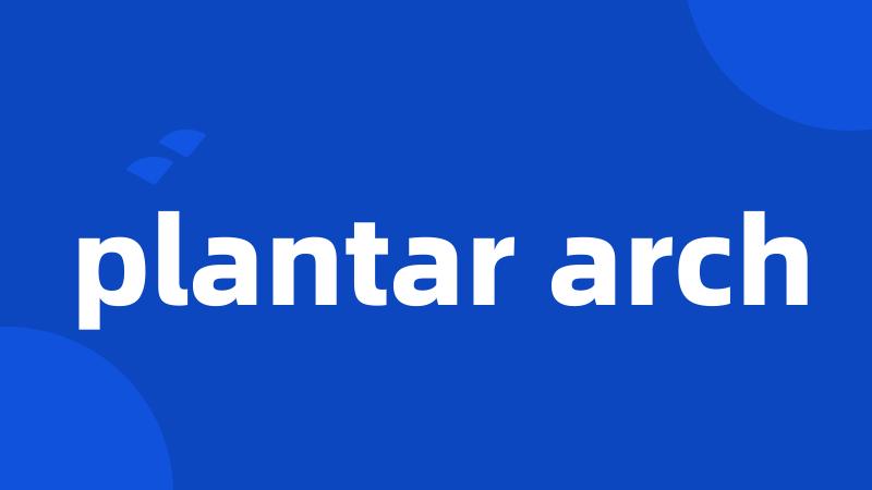 plantar arch