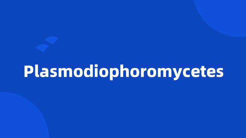 Plasmodiophoromycetes