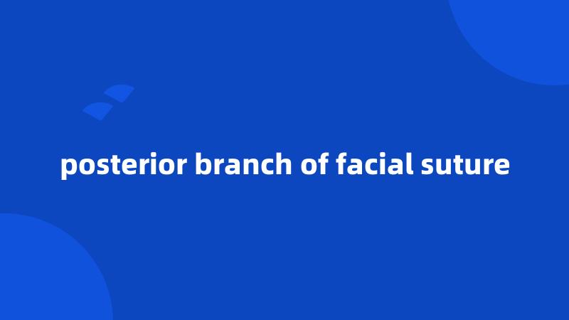 posterior branch of facial suture