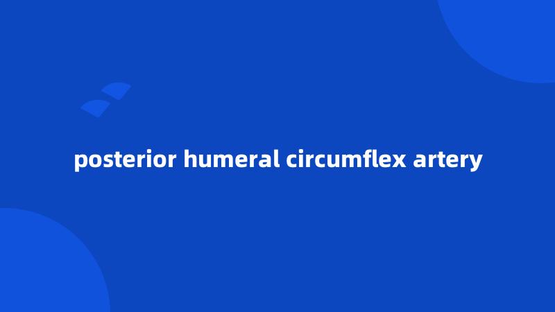 posterior humeral circumflex artery