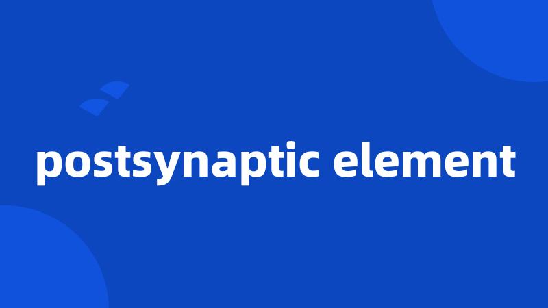 postsynaptic element