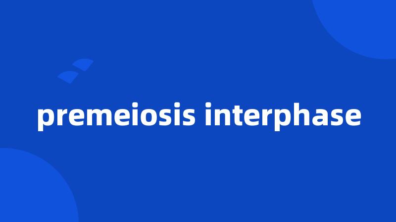 premeiosis interphase