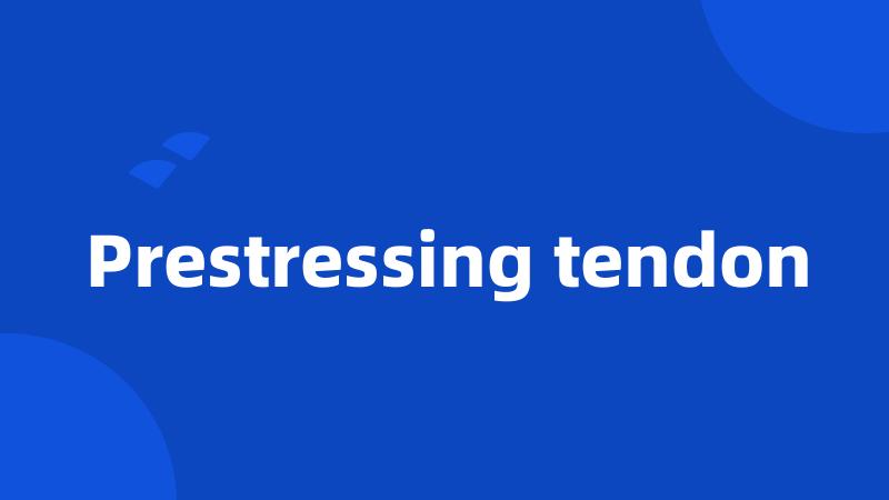 Prestressing tendon