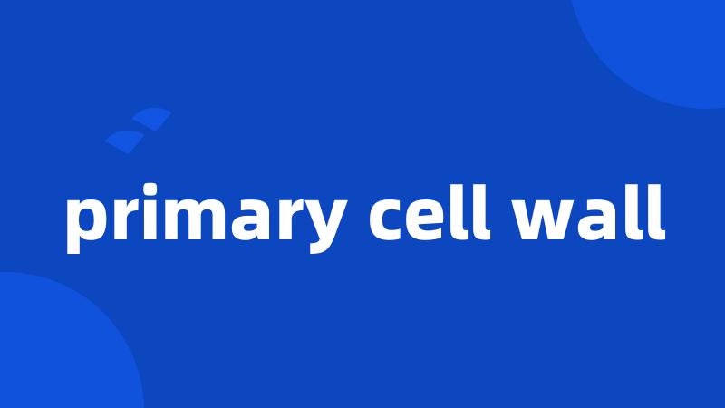 primary cell wall