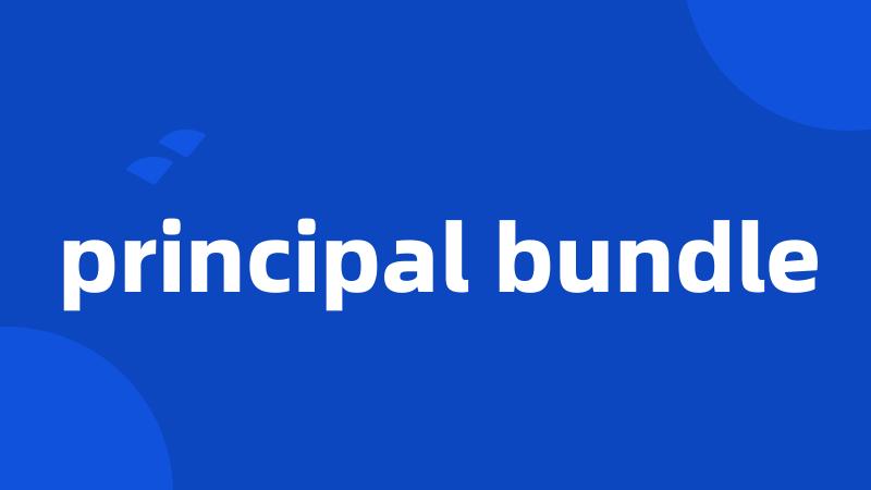 principal bundle