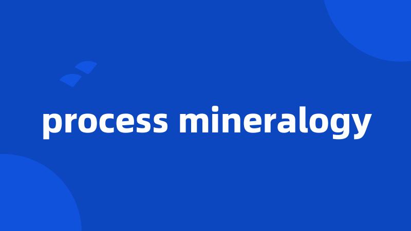 process mineralogy