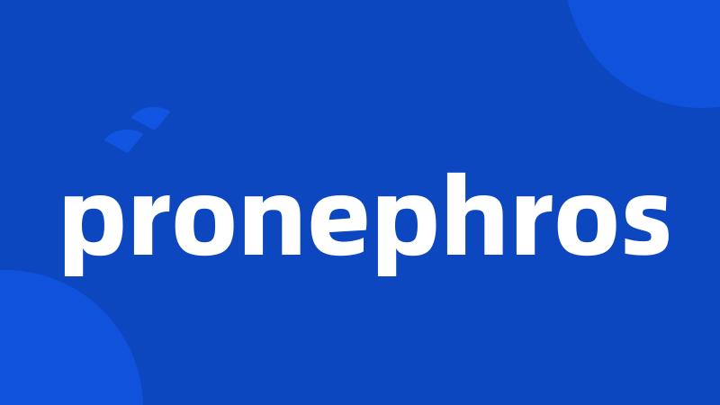 pronephros