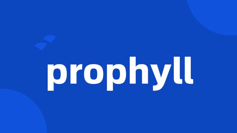 prophyll