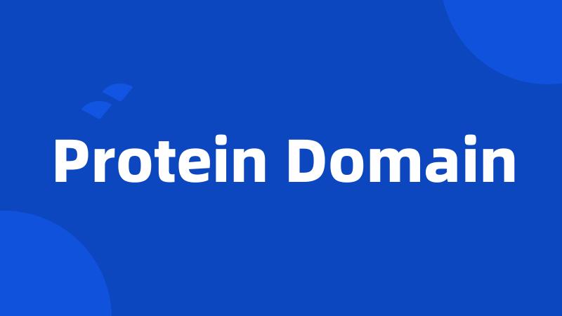 Protein Domain