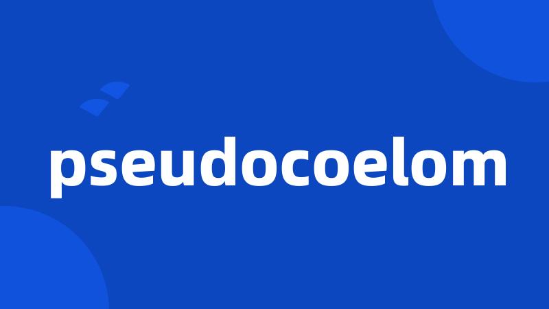 pseudocoelom