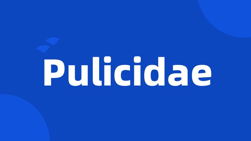 Pulicidae