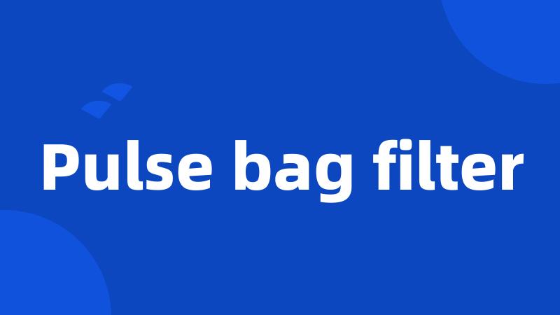 Pulse bag filter