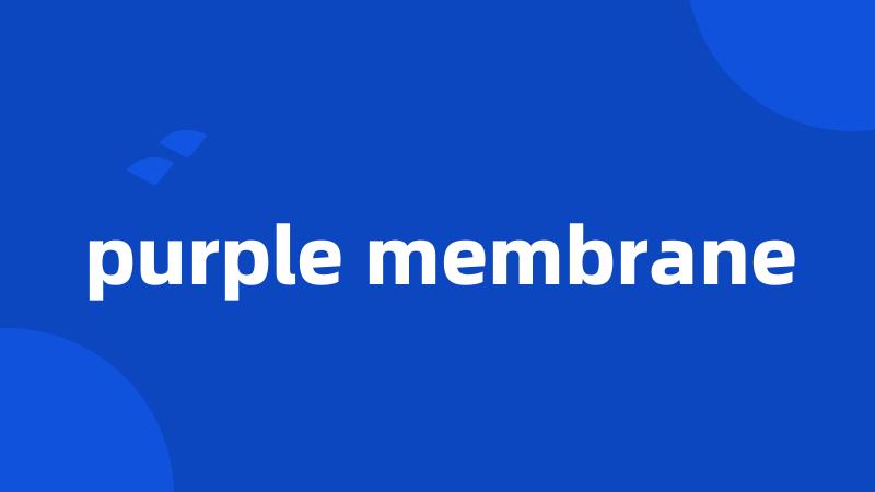 purple membrane