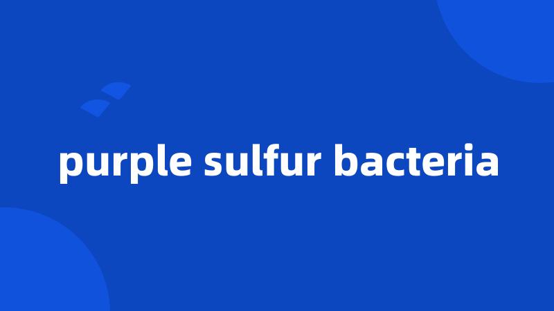 purple sulfur bacteria