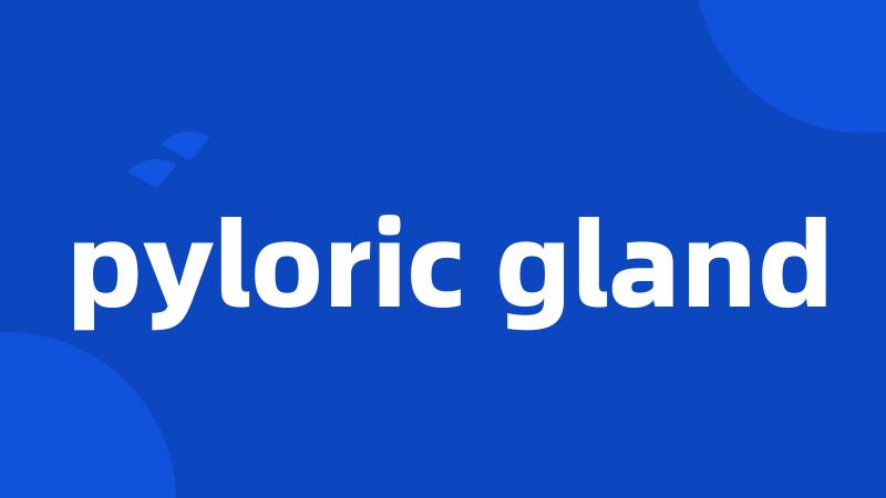 pyloric gland